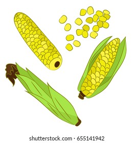 Illustration with corn on light background