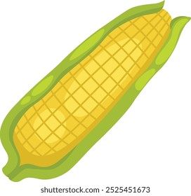 illustration of corn on a white background