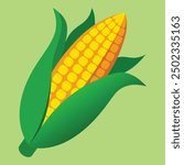 an illustration of corn on a white .Golden maize corn cob isolated. Corn in the peel