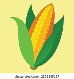 an illustration of corn on a white .Golden maize corn cob isolated. Corn in the peel