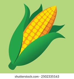 an illustration of corn on a white .Golden maize corn cob isolated. Corn in the peel