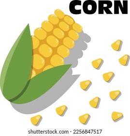 illustration of a corn , corn pile, corn for teaching, power point , banner , flyer, poster, corn soup, brochure, and comercial use
