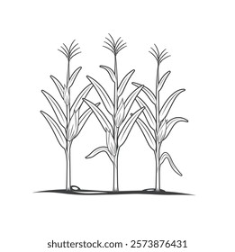 illustration of corn plant, vector art.