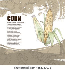 illustration of corn, vegetables background