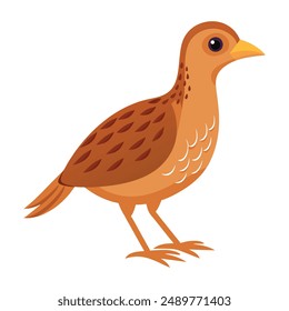 Illustration of Corncrake animal Isolated