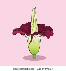 The Illustration of Corpse Flower