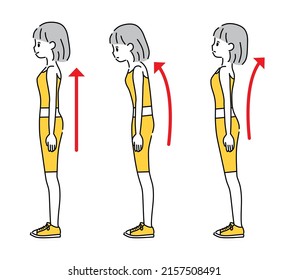 520 Correct standing posture Stock Illustrations, Images & Vectors ...