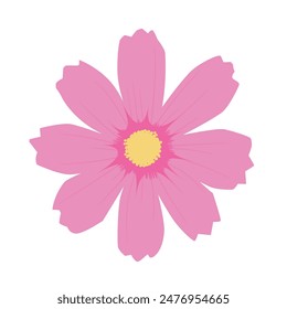 Ilustración de flor de cosmos, Ilustración vectorial