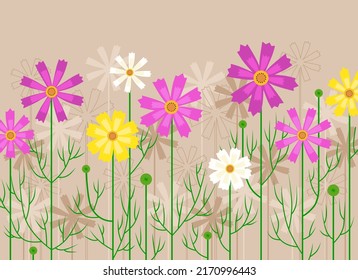 Ilustración de las flores del cosmos