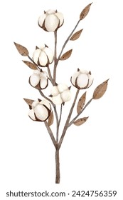 Illustration of a cotton branch with white bolls and brown leaves on a watercolor texture, isolated on white background.