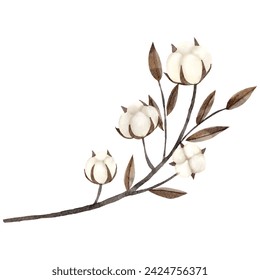 Illustration of a cotton branch with white bolls and brown leaves on a watercolor texture, isolated on white background.