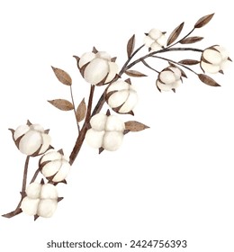 Illustration of a cotton branch with white bolls and brown leaves on a watercolor texture, isolated on white background.