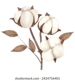 Illustration of a cotton branch with white bolls and brown leaves on a watercolor texture, isolated on white background.