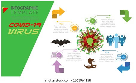 Illustration Covid-19 virus from bat to snake,people with step  numbers, modern design idea  concept vector  infographic template,flat design.