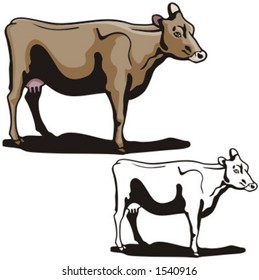 Illustration of a cow.