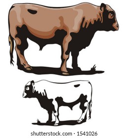 Illustration einer Kuh.