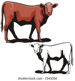 Illustration of a cow.