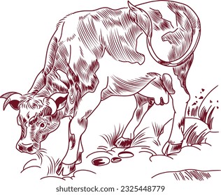 Illustration of cow in a field and cow feed and paddock and included such as Sketch , drawing, icons, vector.