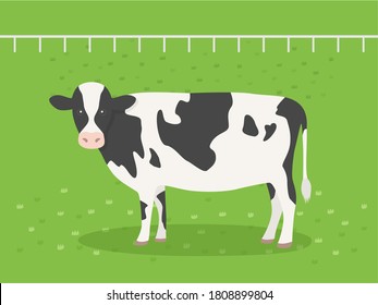 Illustration of a cow on the ranch.