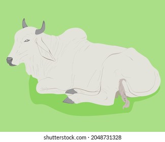 illustration of a cow sitting relaxing