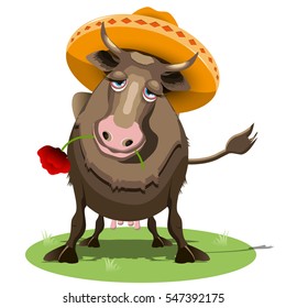 Illustration Cow in a Sombrero with the Red Poppy