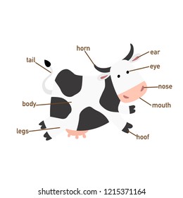 Illustration Cow Vocabulary Part Bodyvector Stock Vector (Royalty Free ...