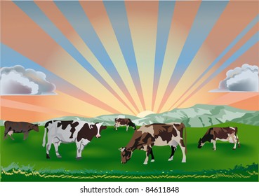 illustration with cows on green field