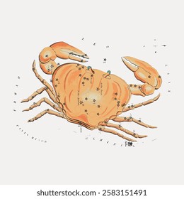 Illustration of a crab with constellations and stars. The crab is detailed with celestial symbols. Constellations and stars enhance the crab's design. Vintage animal illustration isolated, vector.