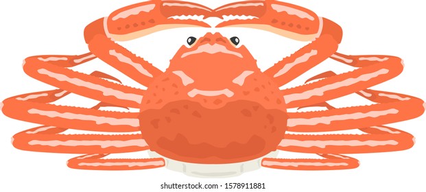 Illustration of a crab.
Crustacean illustration.