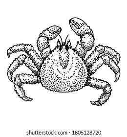 Illustration of crab in engraving style. Design element for logo, emblem, sign, poster, card, banner. Vector illustration
