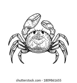 Illustration of crab in engraving style. Design element for logo, emblem, sign, poster, card, banner. Vector illustration