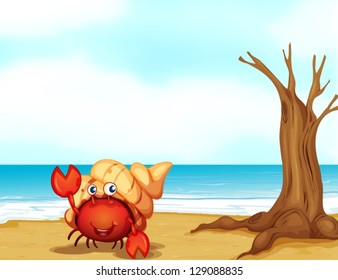 Illustration of a crab with a shell at the seashore