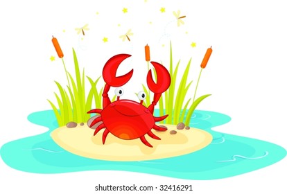 illustration of crab sitting near pond