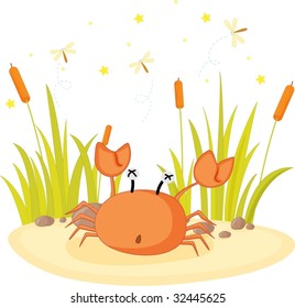 illustration of crab sitting on rock
