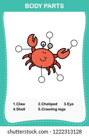Illustration of crab vocabulary part of body,Write the correct numbers of body parts.vector