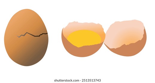 Uma ilustração de um ovo marrom rachado ao lado de duas metades separadas de ovos, uma contendo uma gema amarela brilhante, sobre um fundo branco.