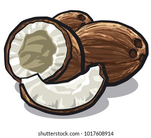 illustration of cracked coconuts on white background