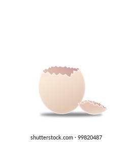 illustration of cracked egg isolated on white background  Vector