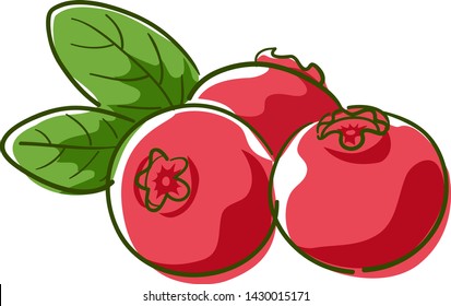 Illustration of Cranberries, a Superfood Fruit