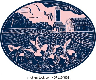 Illustration of a cranberry fruit farm with farmhouse barn and silo in the background done in retro woodcut style. 