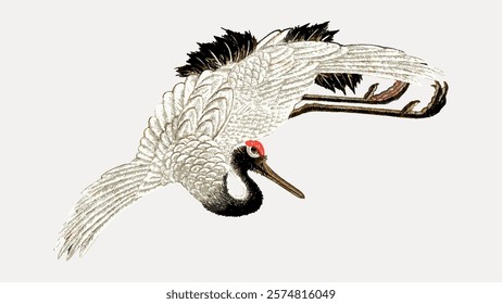 Illustration of a crane in flight. The crane's wings are spread wide, showcasing detailed feathers. The crane's elegant pose highlights its grace in flight. Vintage illustration isolated, vector.