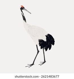 Illustration of a crane with a red crown, black and white feathers. Elegant crane with long legs. Crane standing gracefully, showcasing its distinctive red crown. Vintage bird illustration vector.