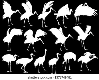 illustration with cranes isolated on black background