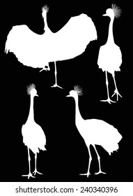 illustration with cranes isolated on black background