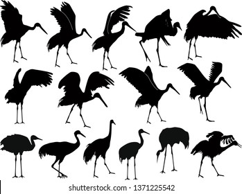 illustration with cranes isolated on white background