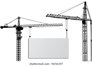 illustration with cranes isolated on white background