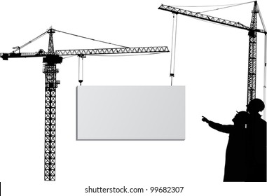 illustration with cranes isolated on white background