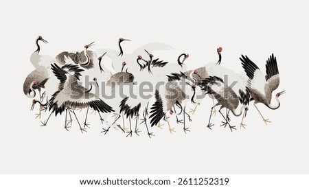 Illustration of cranes with white and gray feathers, red crowns, and black accents. The cranes are depicted in various poses, showcasing their elegant wings. Vintage bird illustration, animal vector.