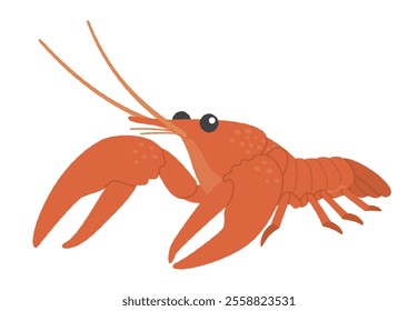 Illustration of a crayfish with big scissors