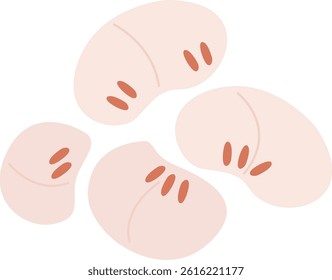 Illustration of cream colored fox nuts
